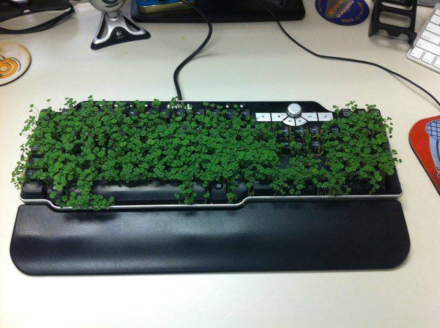 Funny Office Pranks (26 pics)