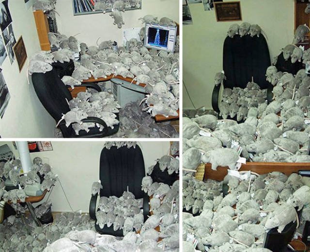 Funny Office Pranks (26 pics)