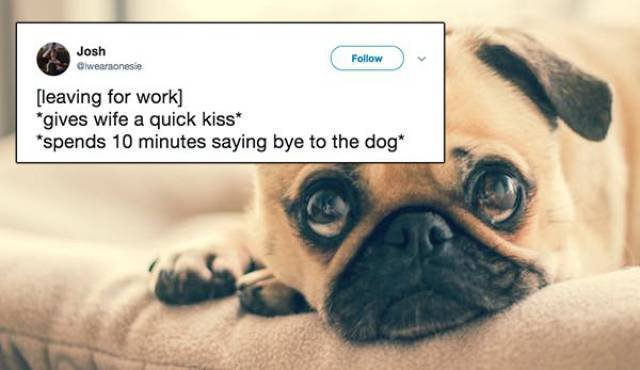 Honestly About Family Life (29 pics) Honestly About Family Life (29 pics)