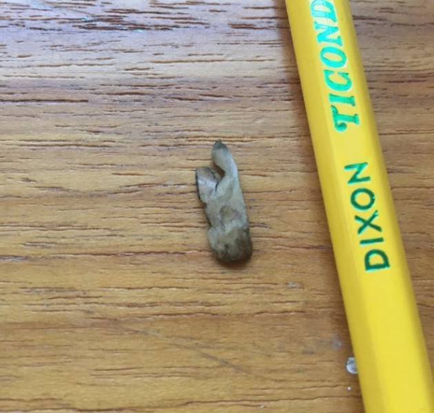 What Are These Things? (21 pics)