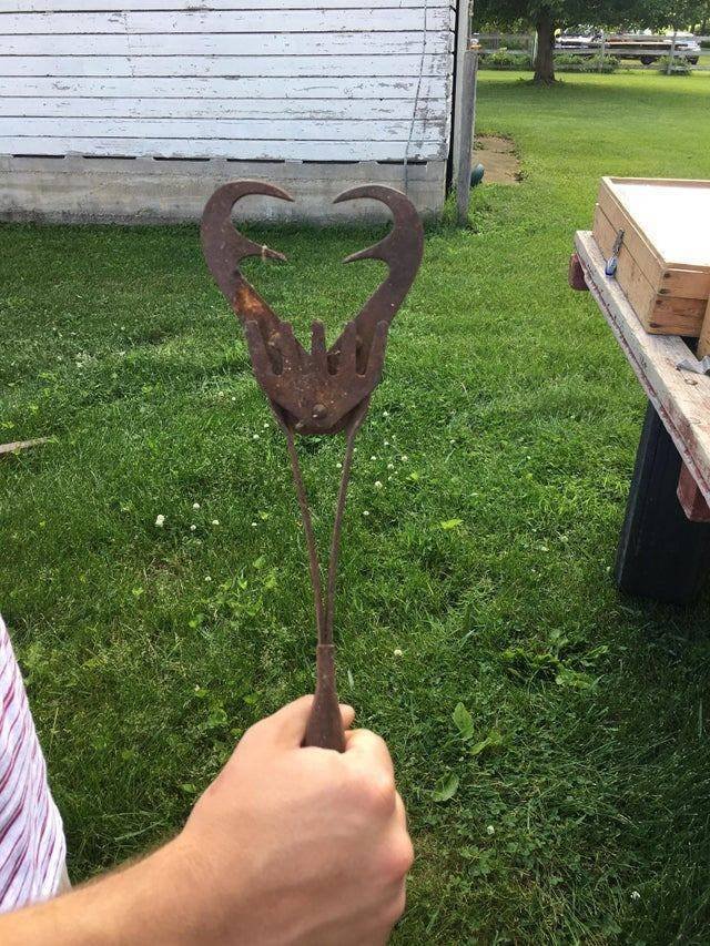 What Are These Things? (21 pics)