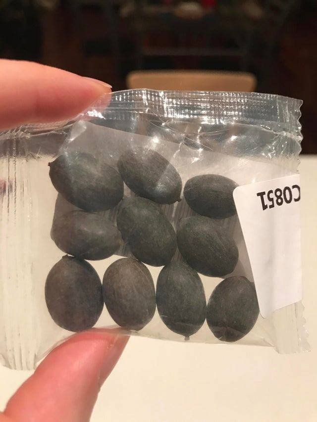 What Are These Things? (21 pics)