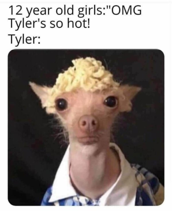 Random Memes (36 pics) Random Memes (36 pics)