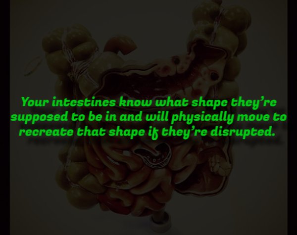 Creepy Facts (14 pics) Creepy Facts (14 pics)