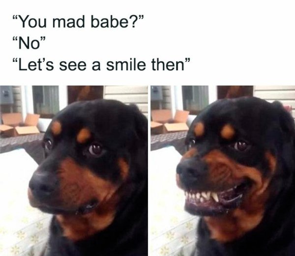 Random Memes (36 pics) Random Memes (36 pics)