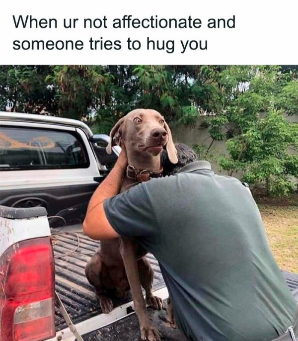 Random Memes (36 pics) Random Memes (36 pics)