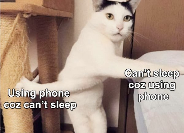 Random Memes (36 pics) Random Memes (36 pics)