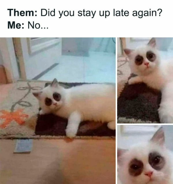 Random Memes (36 pics) Random Memes (36 pics)