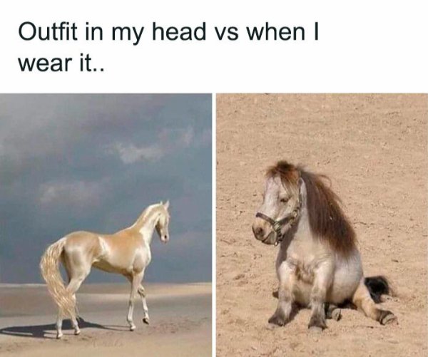 Random Memes (36 pics) Random Memes (36 pics)