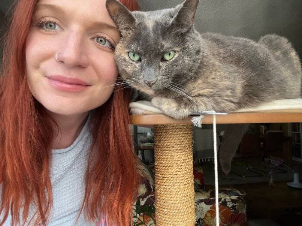 Funny Cats (41 pics) Funny Cats (41 pics)