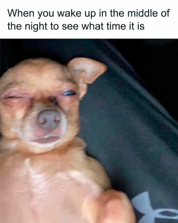 Random Memes (36 pics) Random Memes (36 pics)