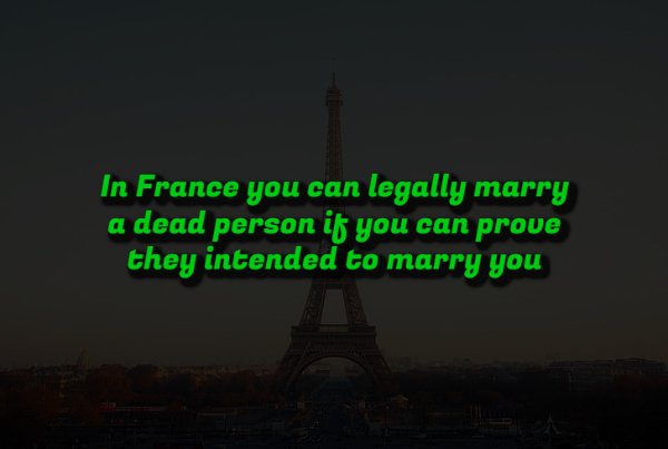 Creepy Facts (14 pics) Creepy Facts (14 pics)