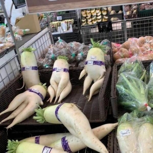 Strange Finds And Situations (43 pics)