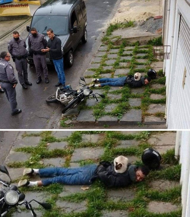 Strange Finds And Situations (43 pics)