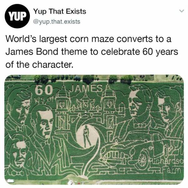 Interesting Things (24 pics) Interesting Things (24 pics)