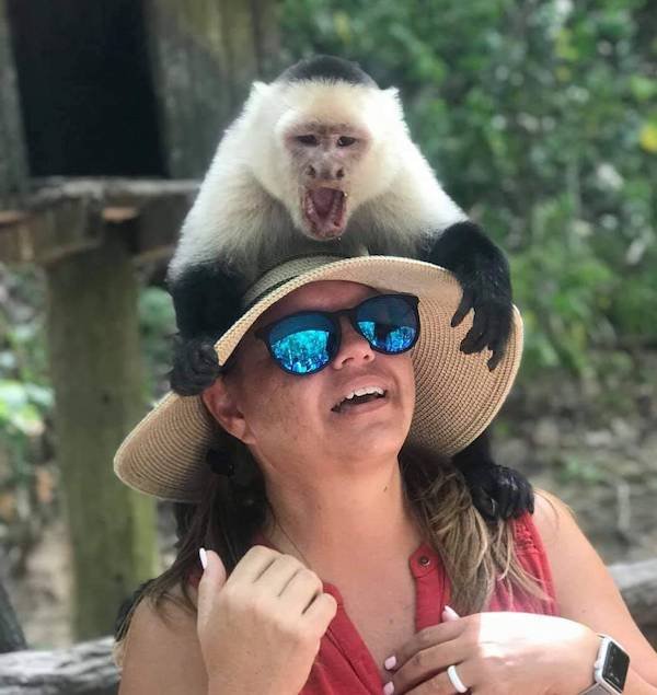 What Is Going On Here? (39 pics) What Is Going On Here? (39 pics)