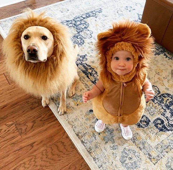 What Is Going On Here? (39 pics) What Is Going On Here? (39 pics)