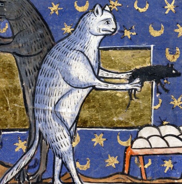 Medieval Cats (33 pics)