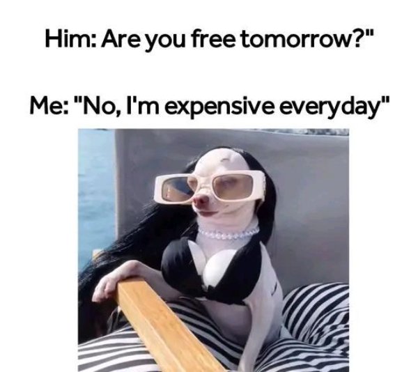 Random Jokes (32 pics) Random Jokes (32 pics)