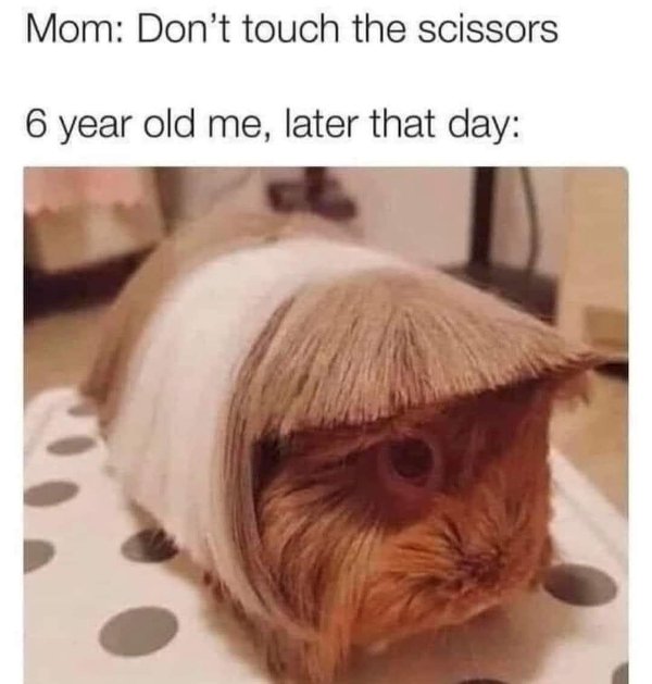 Random Jokes (32 pics) Random Jokes (32 pics)