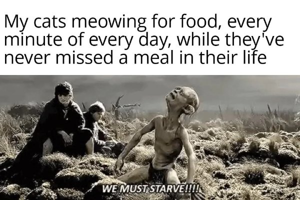 Memes For ''The Lord Of The Rings'' Fans (33 pics) Memes For ''The Lord Of The Rings'' Fans (33 pics)