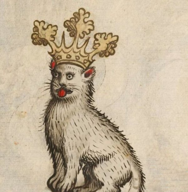Medieval Cats (33 pics)