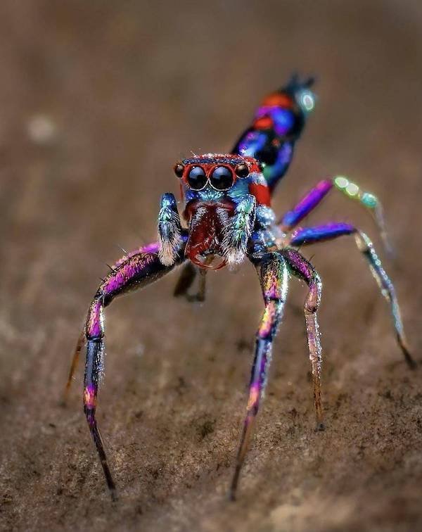 What Is Going On Here? (39 pics) What Is Going On Here? (39 pics)