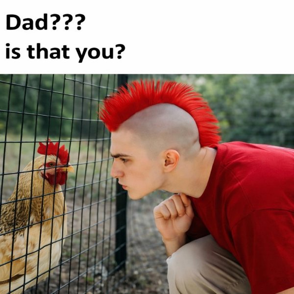 Random Jokes (32 pics) Random Jokes (32 pics)