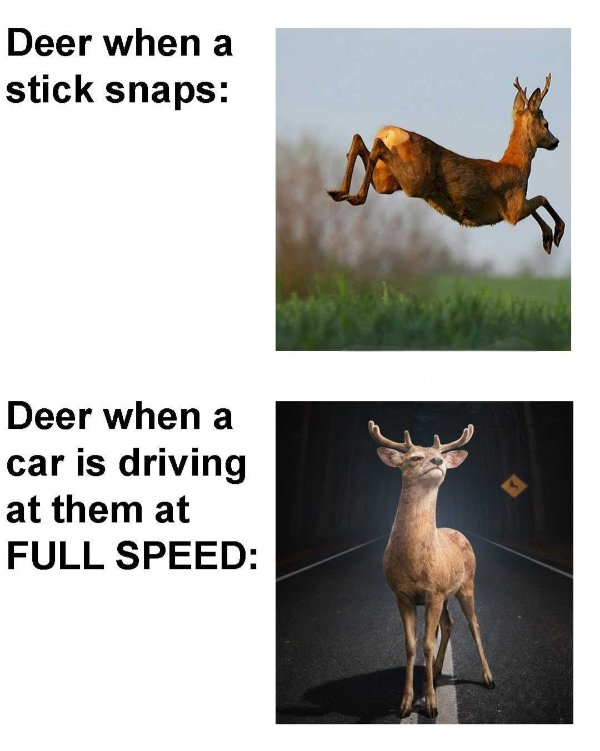 Random Jokes (32 pics) Random Jokes (32 pics)