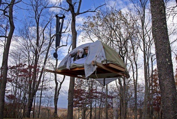 What Is Going On Here? (39 pics) What Is Going On Here? (39 pics)