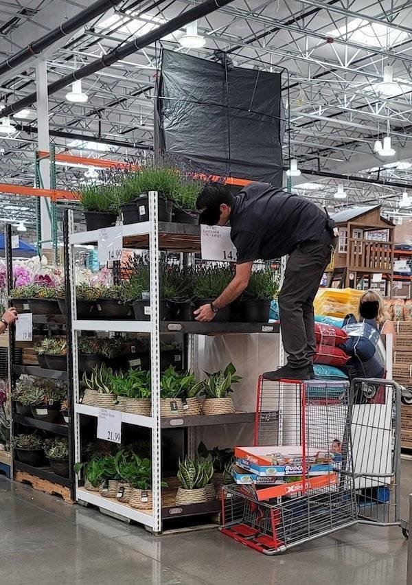 This Is Dangerous (31 pics) This Is Dangerous (31 pics)