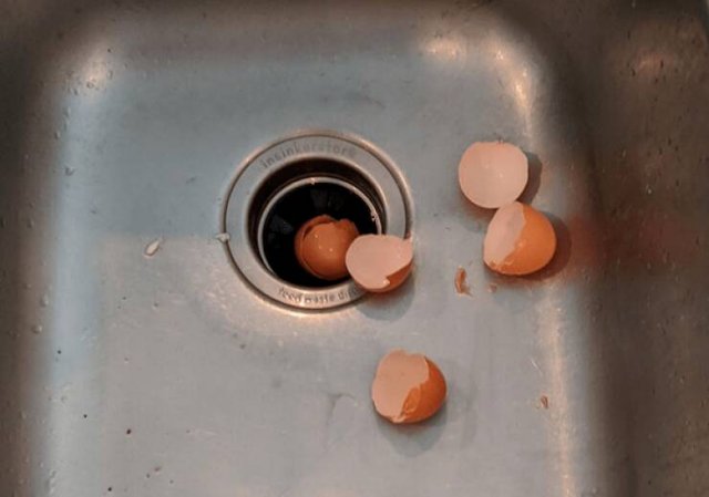 Findings During House Inspections (15 pics)