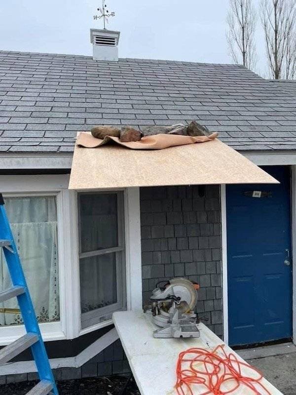 This Is Dangerous (31 pics)