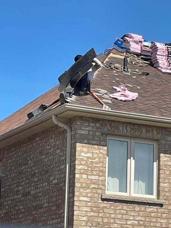 This Is Dangerous (31 pics) This Is Dangerous (31 pics)