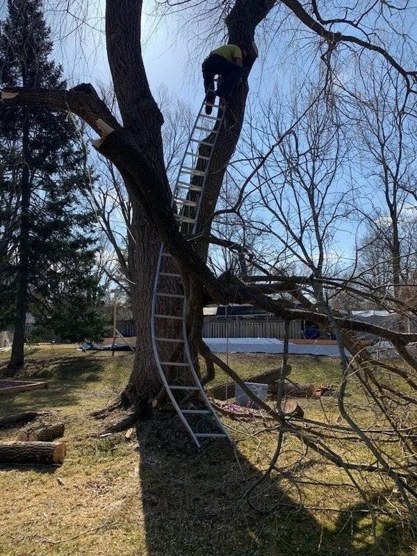 This Is Dangerous (31 pics) This Is Dangerous (31 pics)