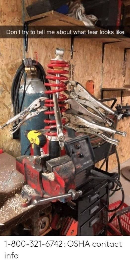 This Is Dangerous (31 pics) This Is Dangerous (31 pics)