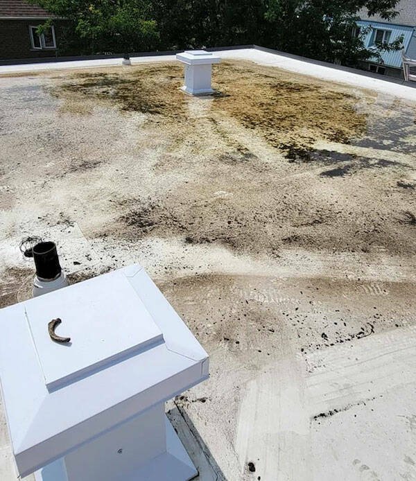 Findings During House Inspections (15 pics)