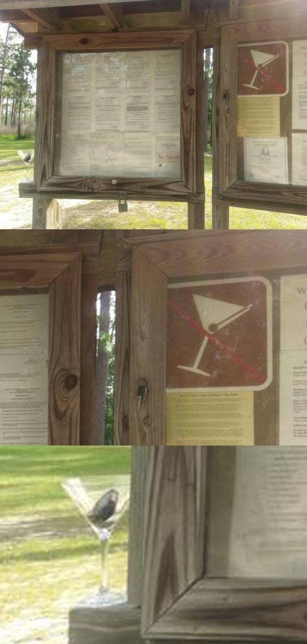 They Don't Care About The Rules (47 pics) They Don't Care About The Rules (47 pics)