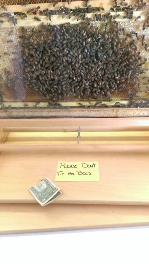 They Don't Care About The Rules (47 pics) They Don't Care About The Rules (47 pics)