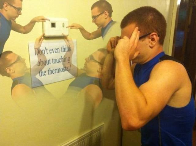 They Don't Care About The Rules (47 pics) They Don't Care About The Rules (47 pics)