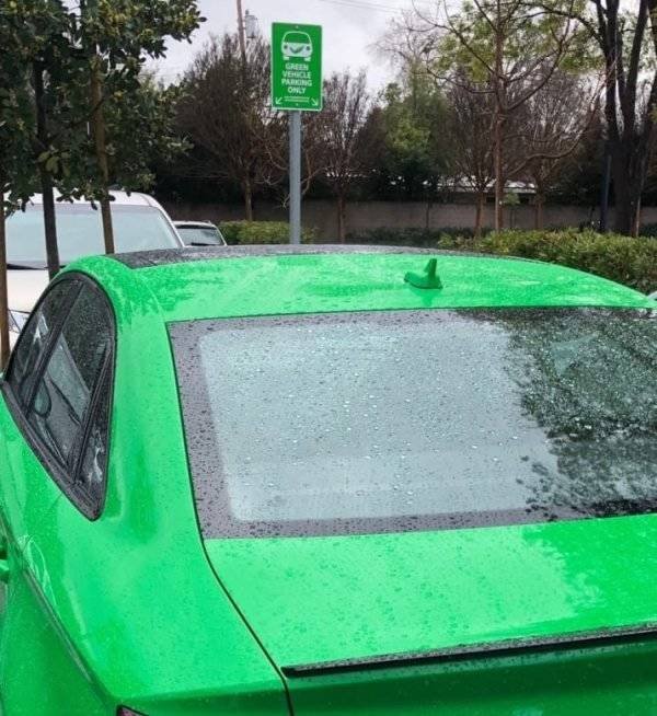 They Don't Care About The Rules (47 pics) They Don't Care About The Rules (47 pics)