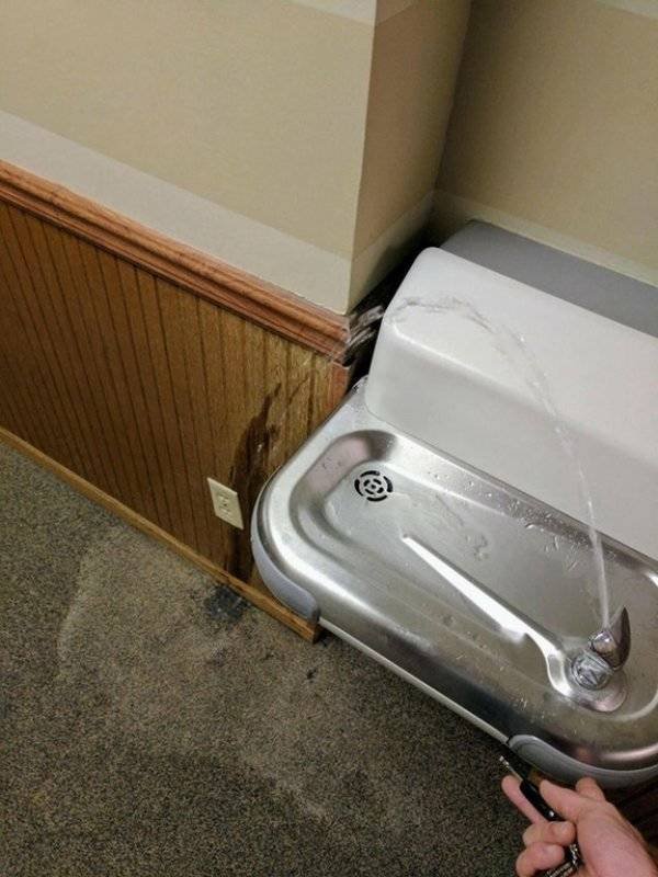 They Don't Care About The Rules (47 pics) They Don't Care About The Rules (47 pics)