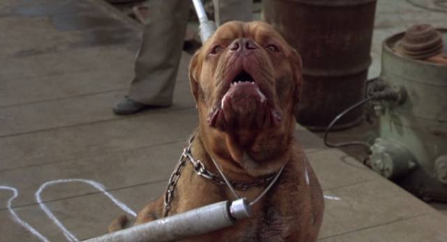 Annoying Movie Cliches (20 pics)