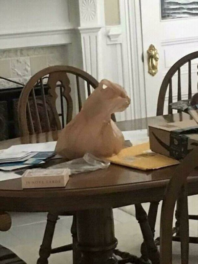 Optical Illusions (49 pics)