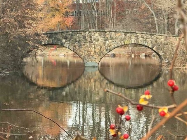 Optical Illusions (49 pics)