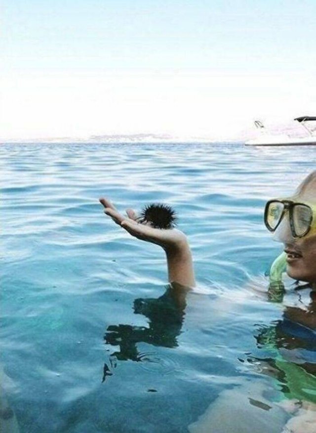 Optical Illusions (49 pics)