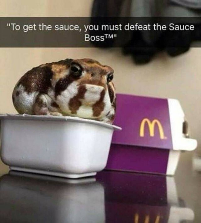 Optical Illusions (49 pics)