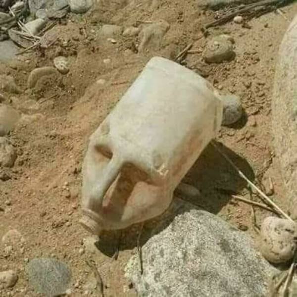 Optical Illusions (49 pics)