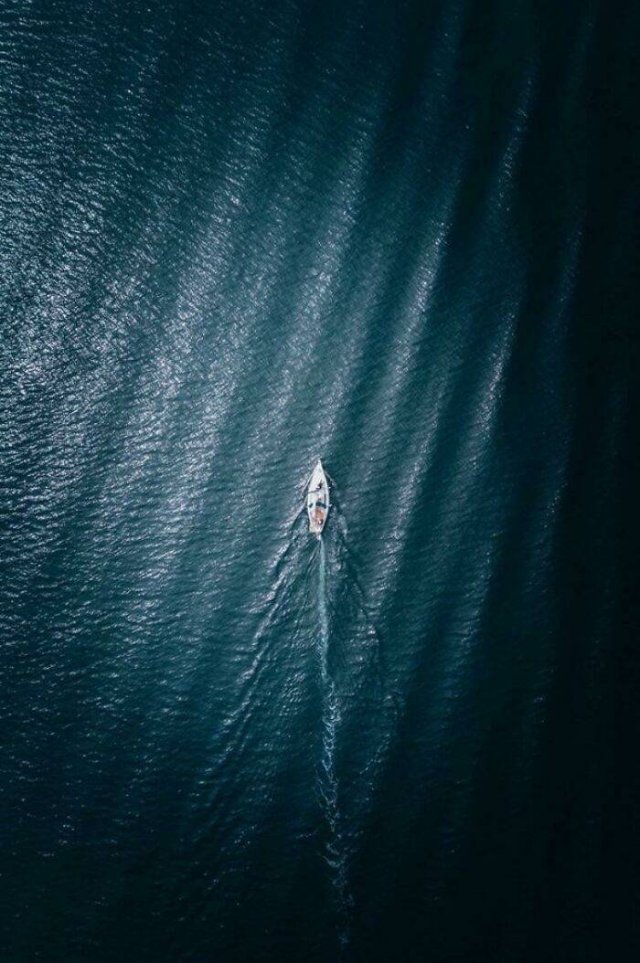 Optical Illusions (49 pics)