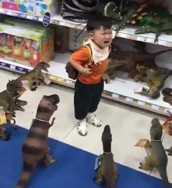 What Is Going On Here? (47 pics) What Is Going On Here? (47 pics)